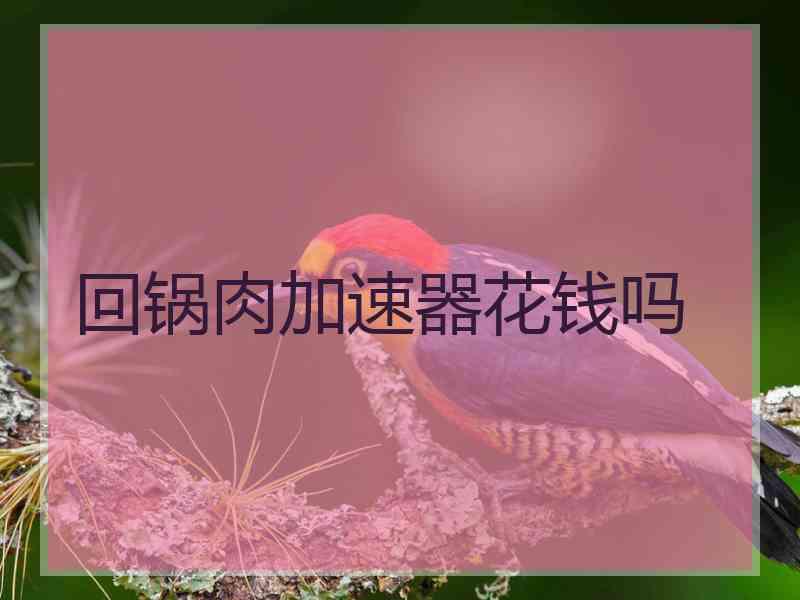 回锅肉加速器花钱吗