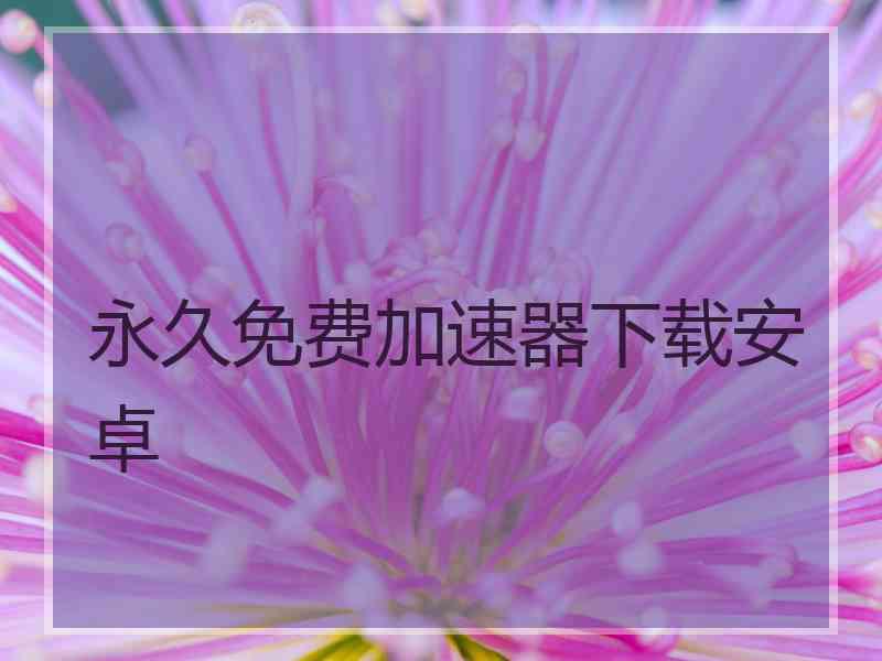 永久免费加速器下载安卓