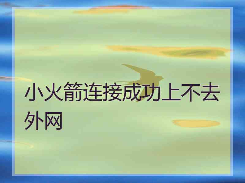 小火箭连接成功上不去外网
