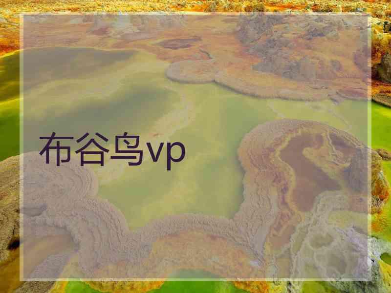 布谷鸟vp