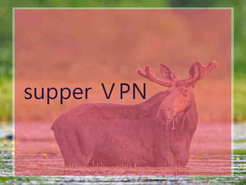 supper ⅤPN