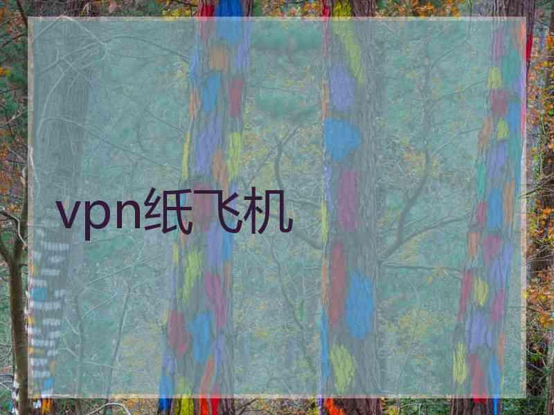 vpn纸飞机