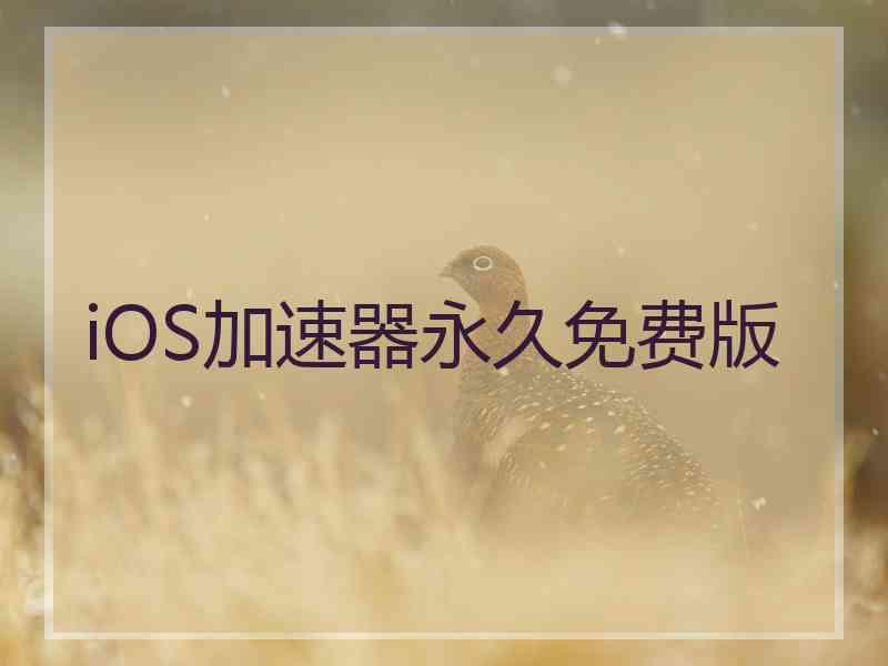 iOS加速器永久免费版