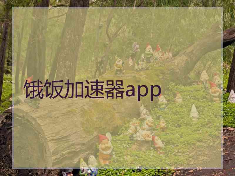 饿饭加速器app