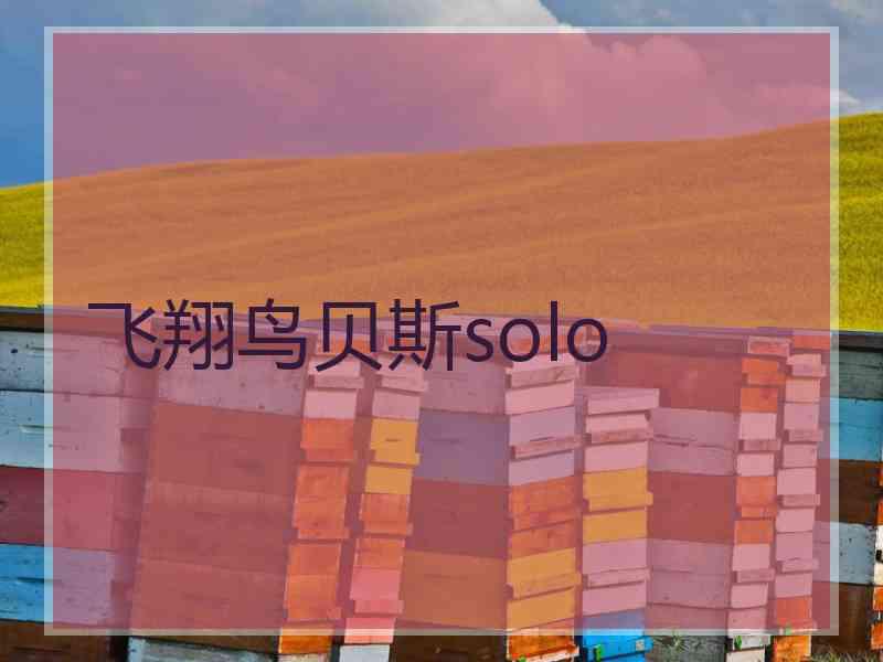 飞翔鸟贝斯solo