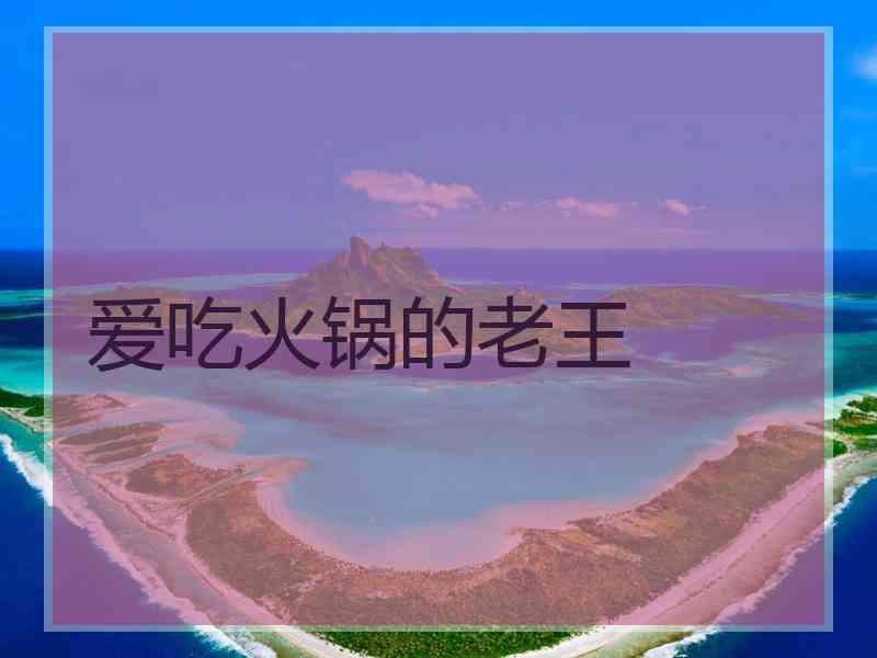 爱吃火锅的老王