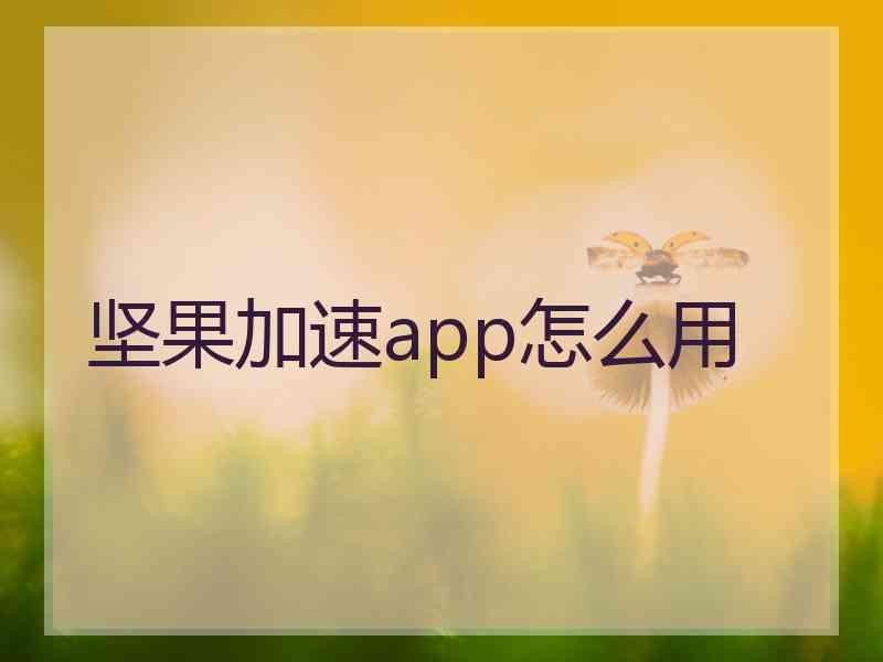 坚果加速app怎么用