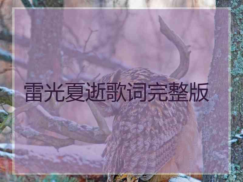 雷光夏逝歌词完整版