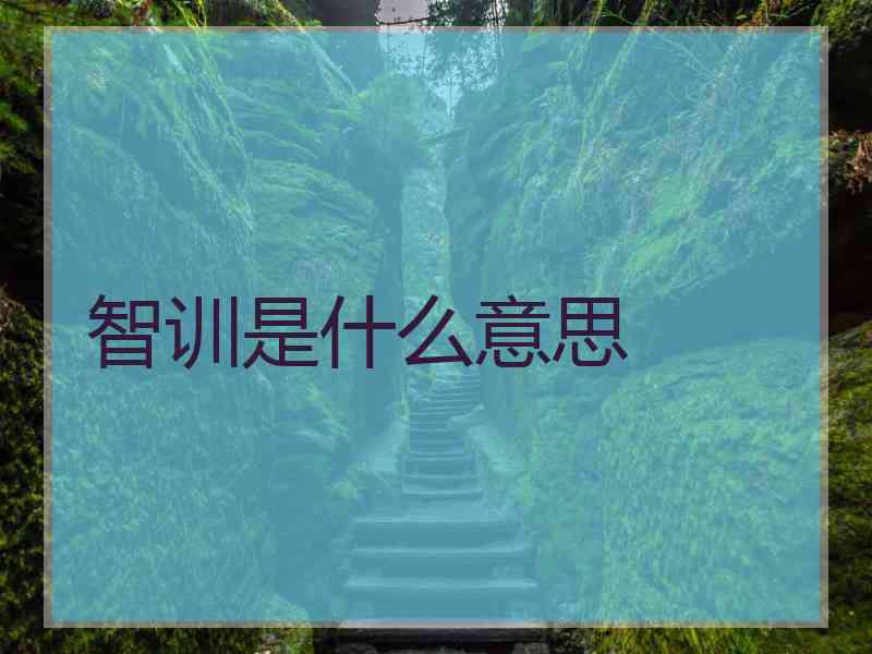 智训是什么意思