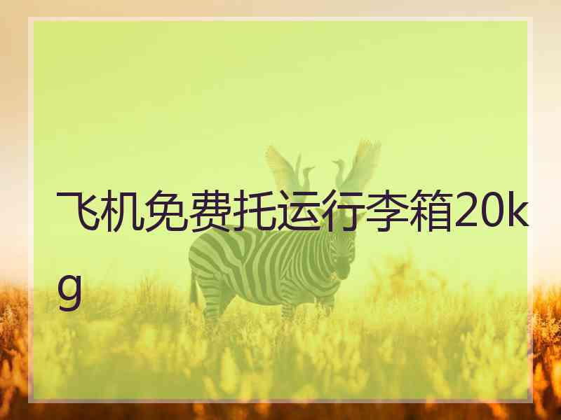 飞机免费托运行李箱20kg