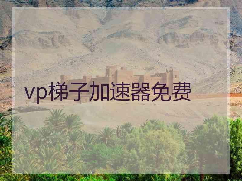 vp梯子加速器免费