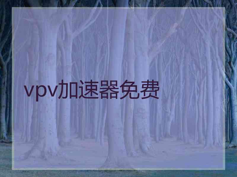 vpv加速器免费