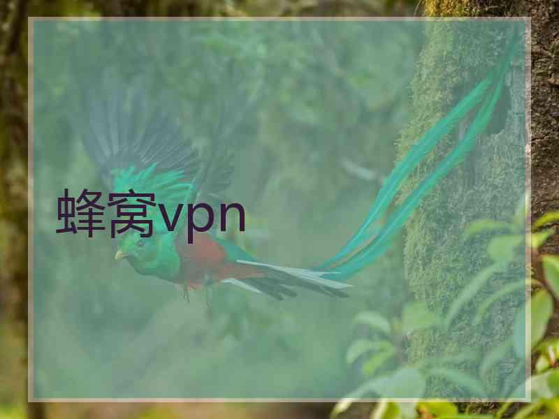 蜂窝vpn