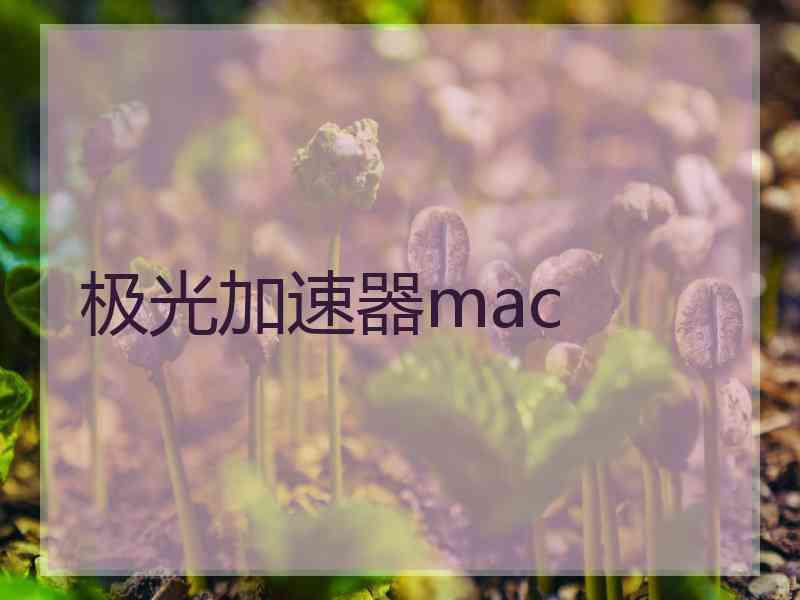 极光加速器mac