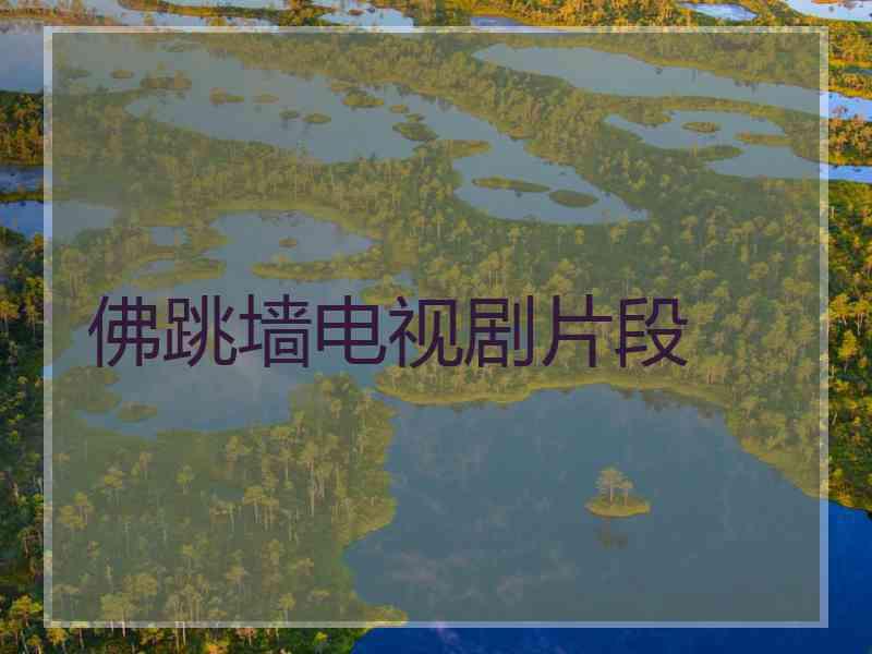佛跳墙电视剧片段