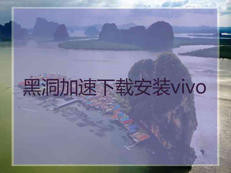 黑洞加速下载安装vivo