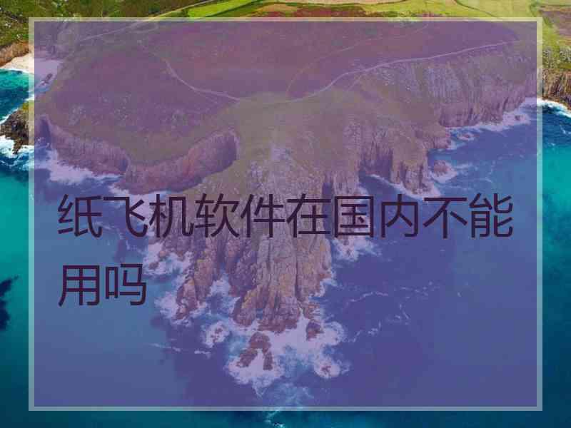 纸飞机软件在国内不能用吗