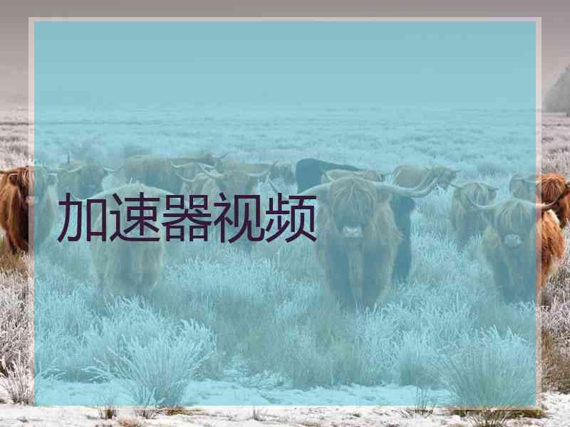 加速器视频