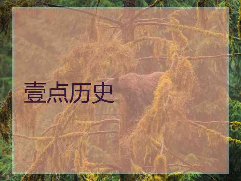 壹点历史