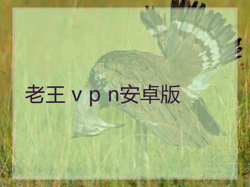 老王 v p n安卓版