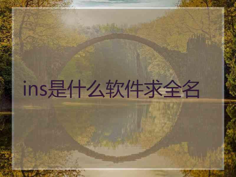 ins是什么软件求全名