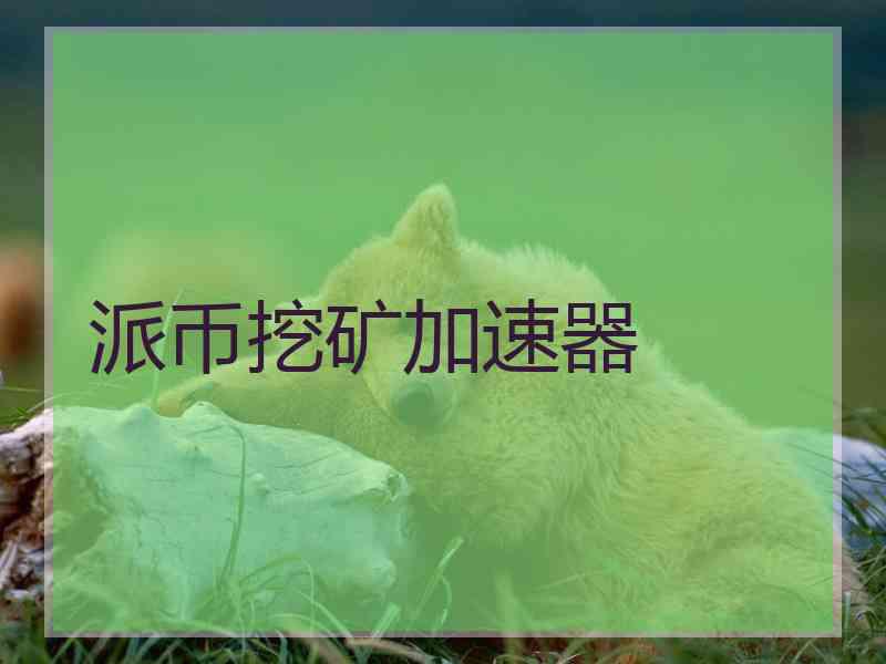 派币挖矿加速器