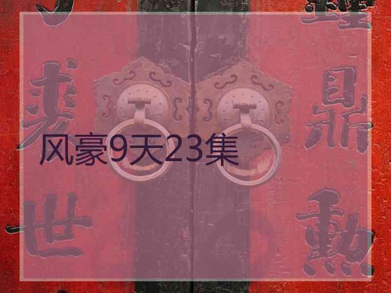 风豪9天23集