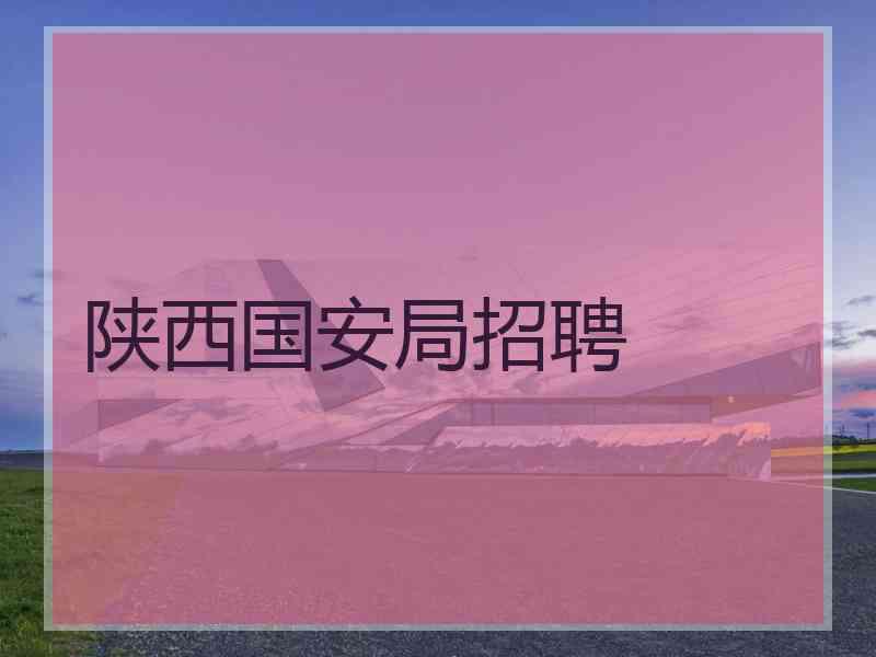 陕西国安局招聘