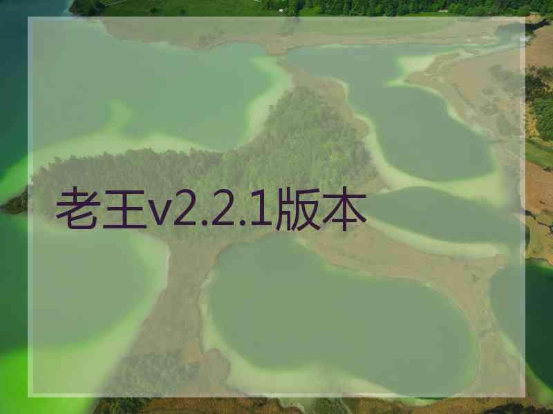 老王v2.2.1版本