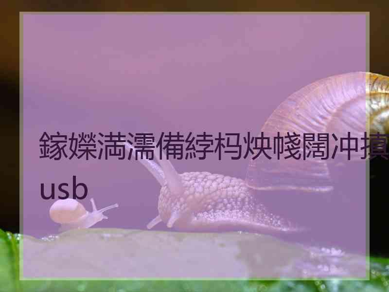 鎵嬫満濡備綍杩炴帴闊冲搷usb