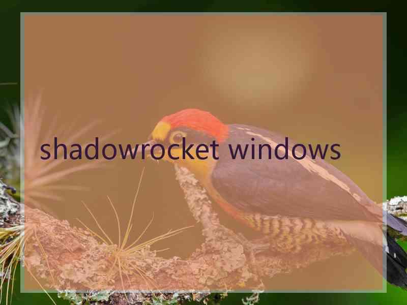 shadowrocket windows