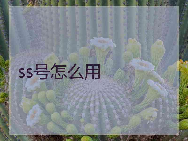 ss号怎么用