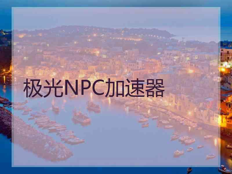 极光NPC加速器