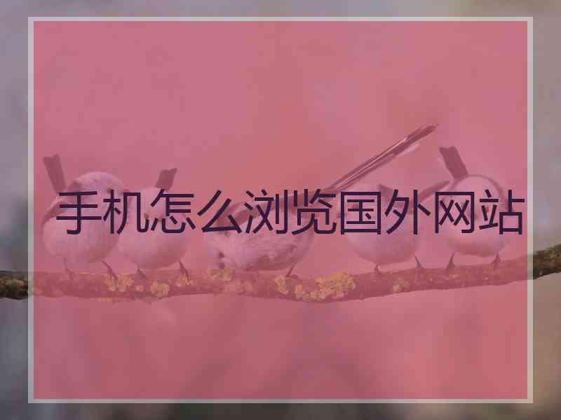 手机怎么浏览国外网站