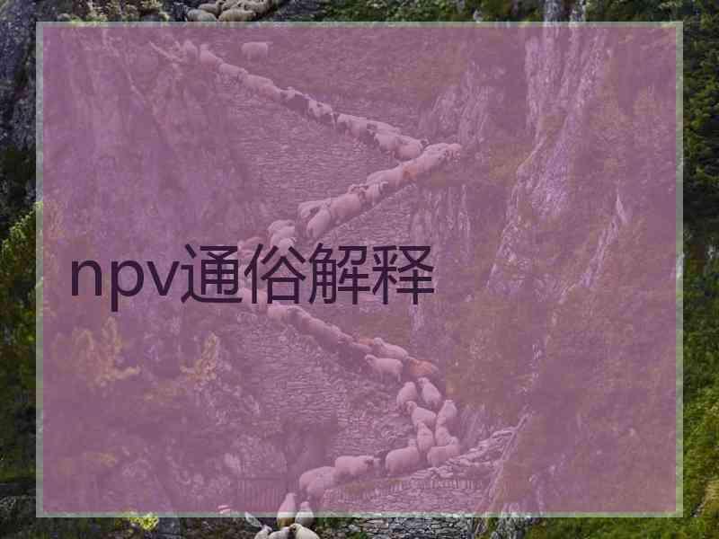 npv通俗解释