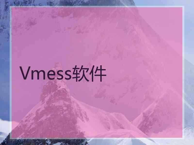 Vmess软件
