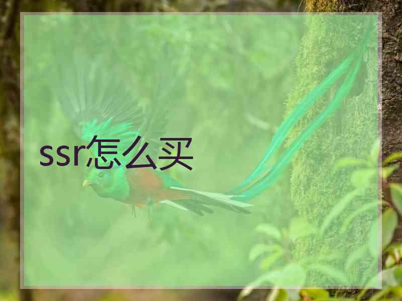 ssr怎么买