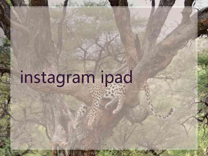 instagram ipad