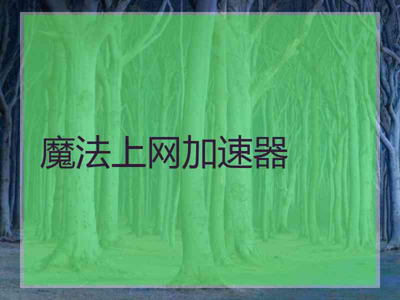 魔法上网加速器