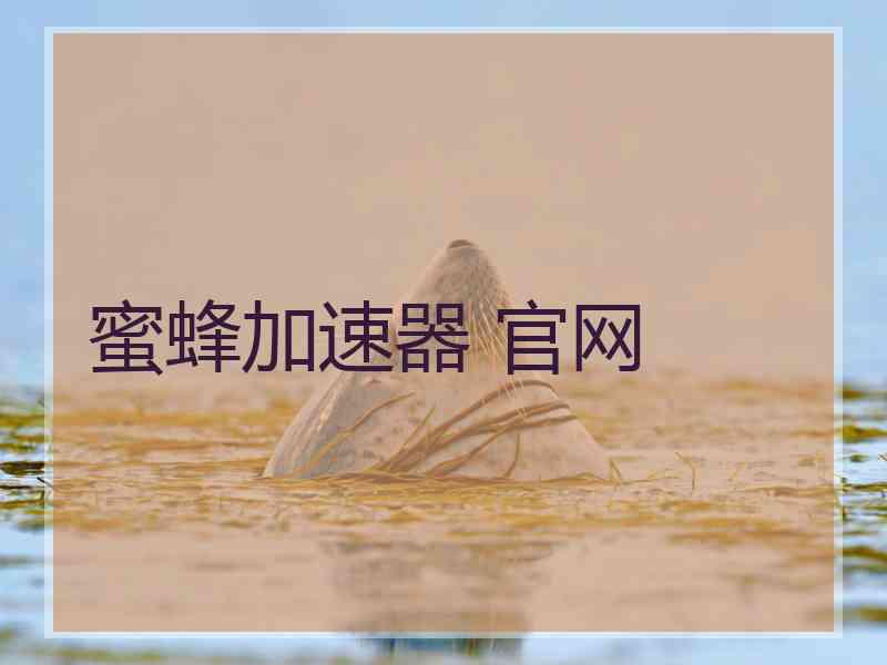 蜜蜂加速器 官网