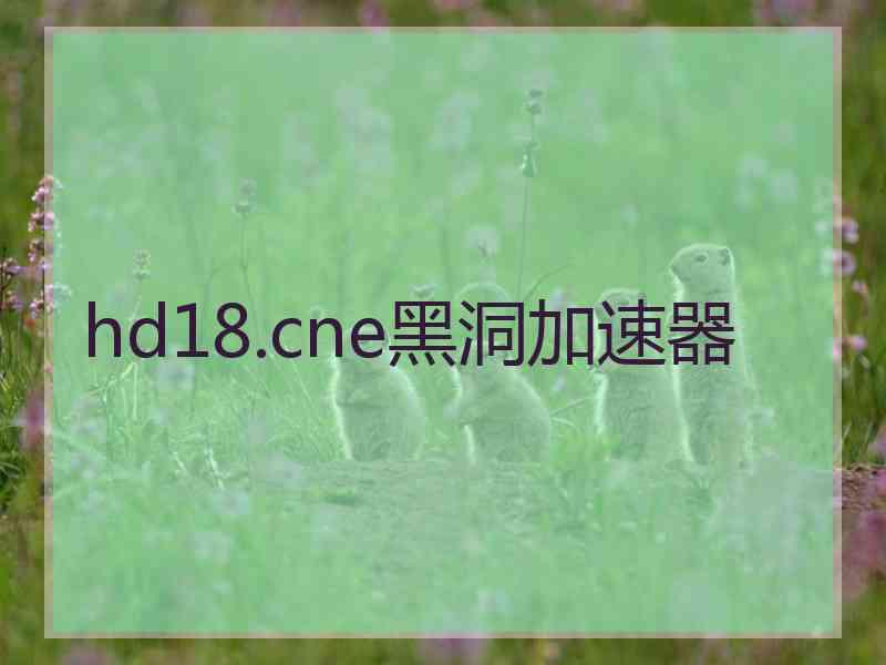hd18.cne黑洞加速器
