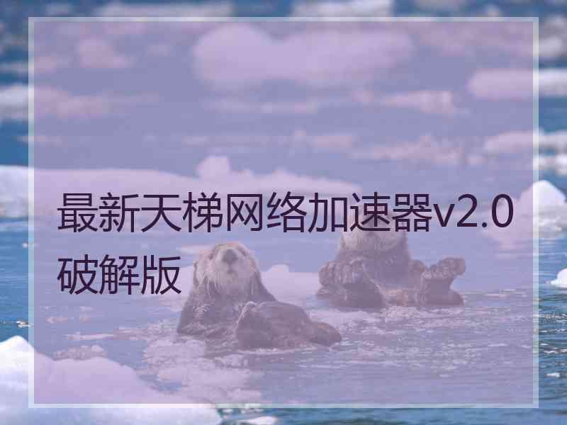 最新天梯网络加速器v2.0破解版