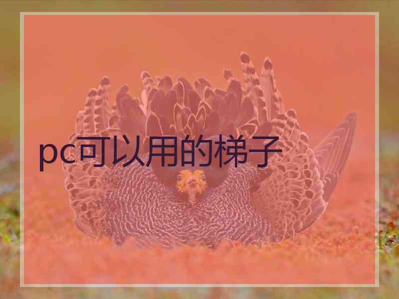 pc可以用的梯子