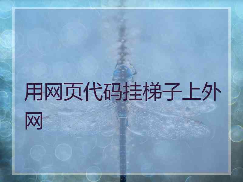 用网页代码挂梯子上外网