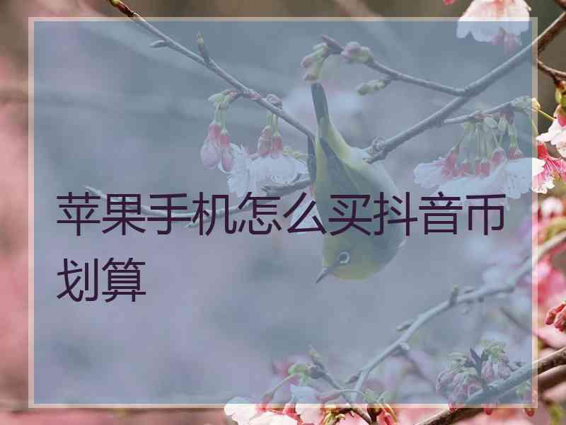 苹果手机怎么买抖音币划算