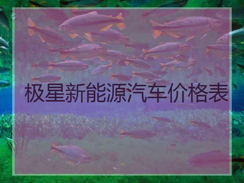 极星新能源汽车价格表