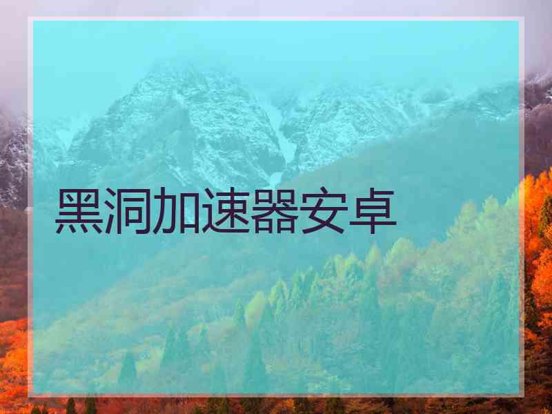 黑洞加速器安卓