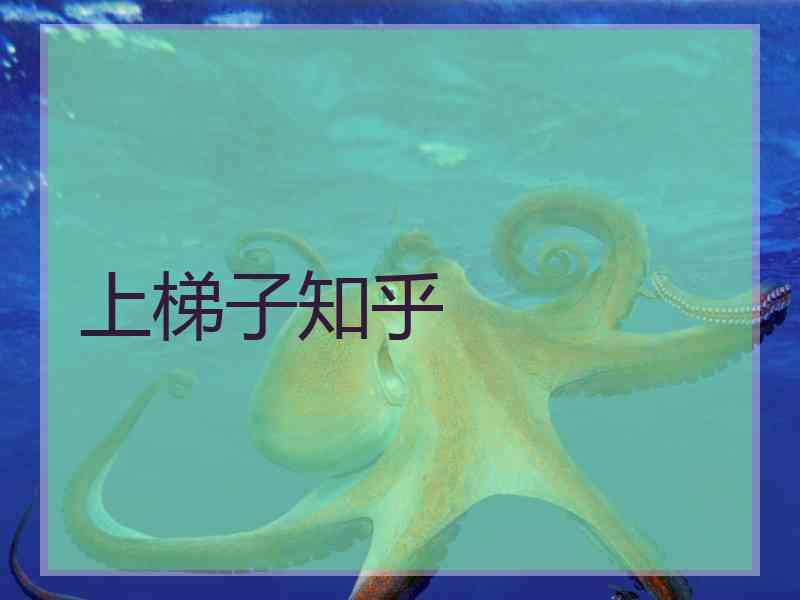 上梯子知乎