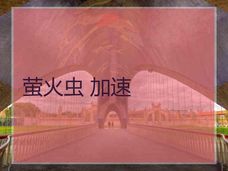 萤火虫 加速
