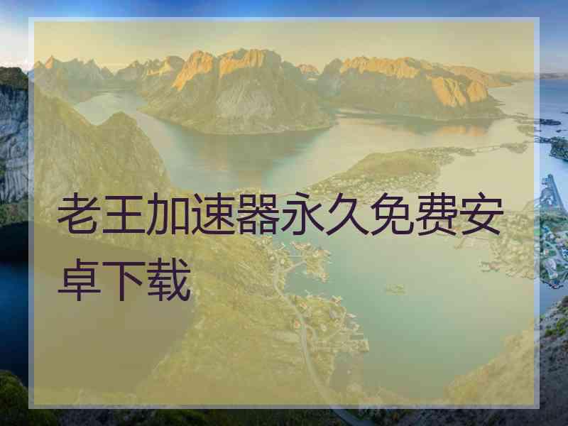 老王加速器永久免费安卓下载